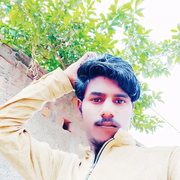 arbaj258
