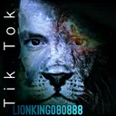 @lionking080888