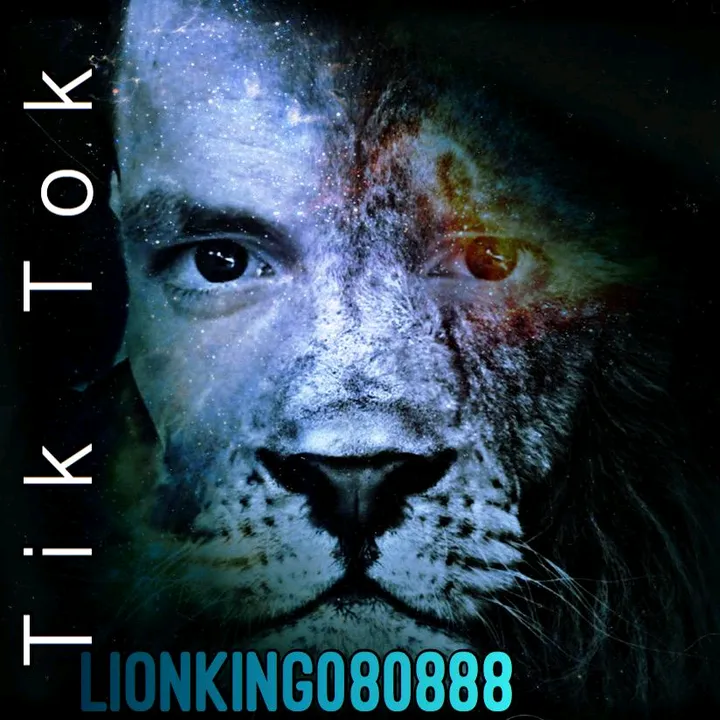 @lionking080888
