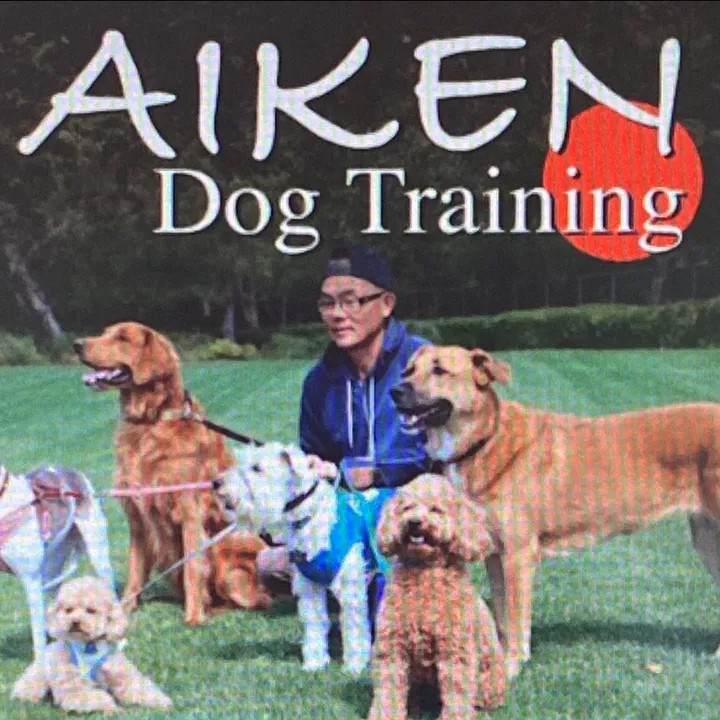 aikendogtraining.com