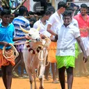 @mayilrayannadduveeran