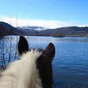 @nuagedepoils
