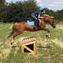 @emily.showjumping