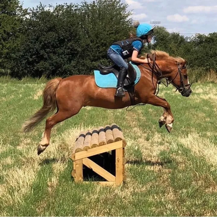 @emily.showjumping