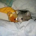 @kingofyaoi.moved