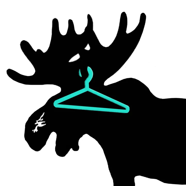 @tidy_moose