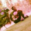 user5389589873116