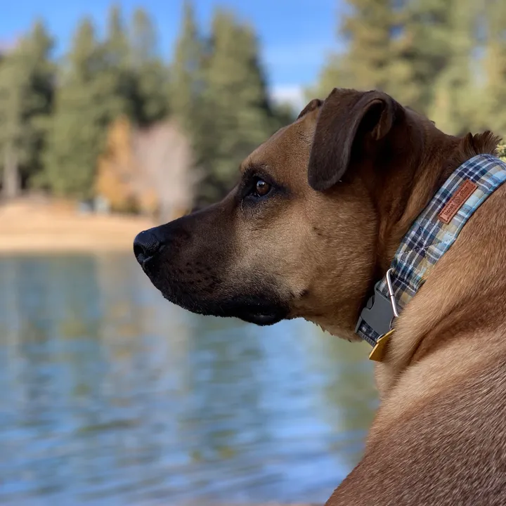 adventureoutside