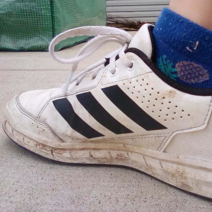 asmar_shoe_crushing