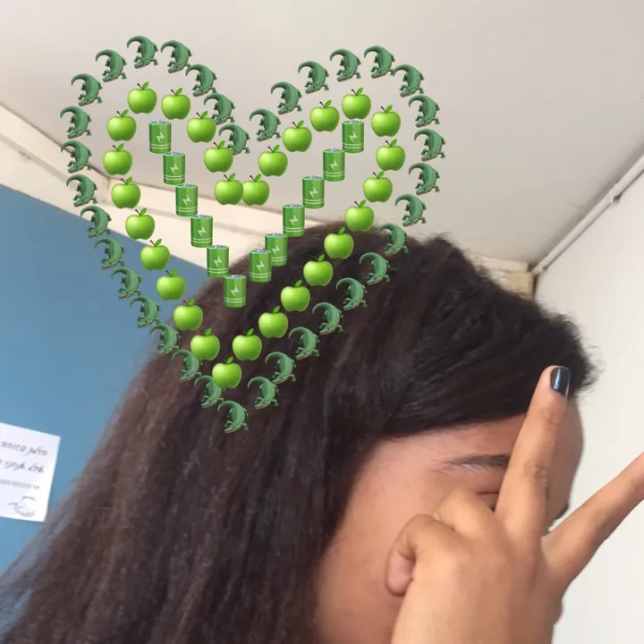 @leeordibnerr