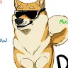 @dogetheepic132576