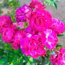 @pawanrajpoot6394