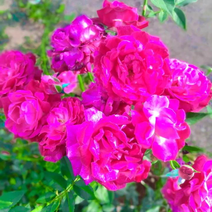 @pawanrajpoot6394