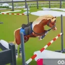 @my.horse.stories.08