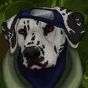 @spoon.paladin