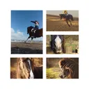 @pony.gruppe_world