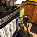 @houseofherding