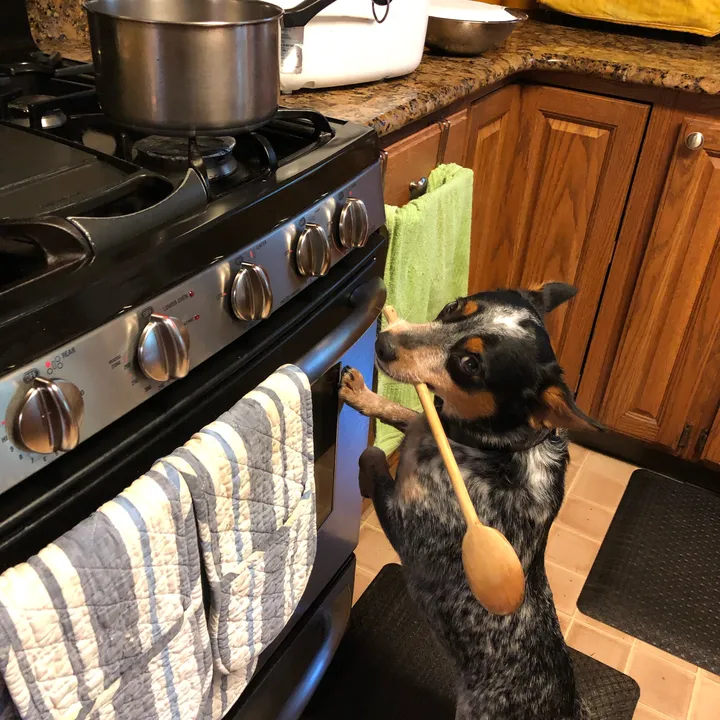@houseofherding
