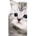 @cute___honey