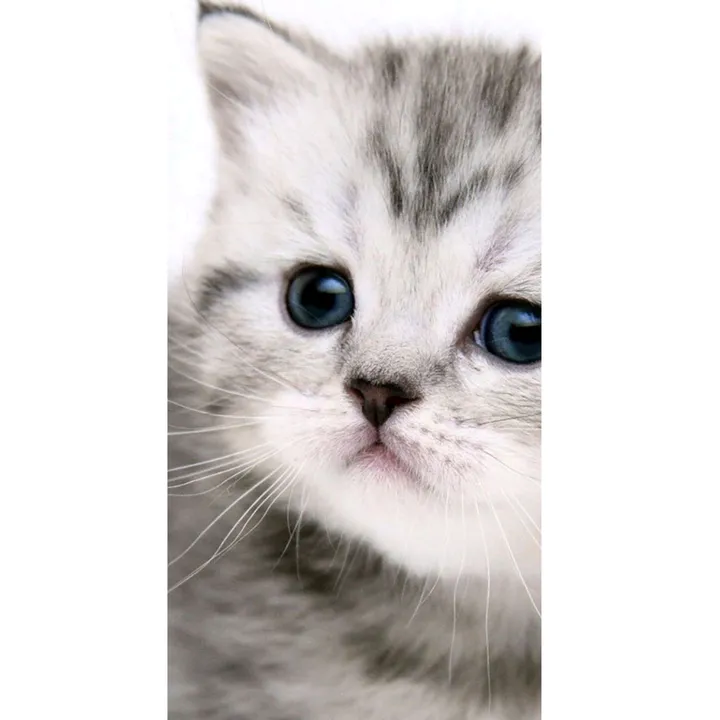 @cute___honey