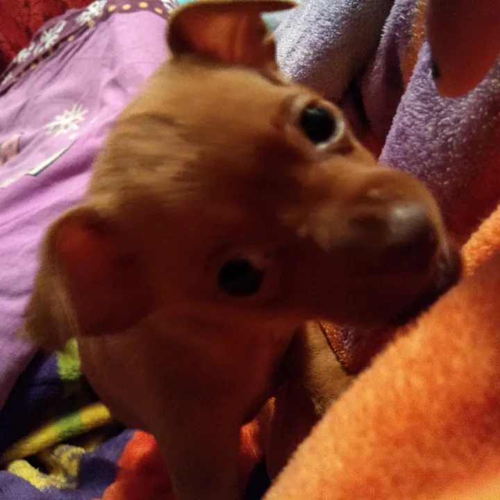 montymtz