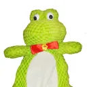 @frogthegreen