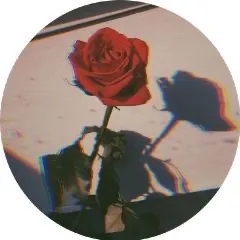 flippa_grammeee