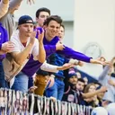 @drewdaulton