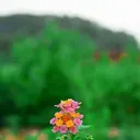 @abdulmaliklaskar8