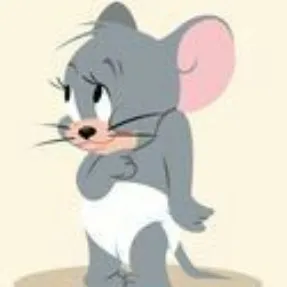 @user7498277693539