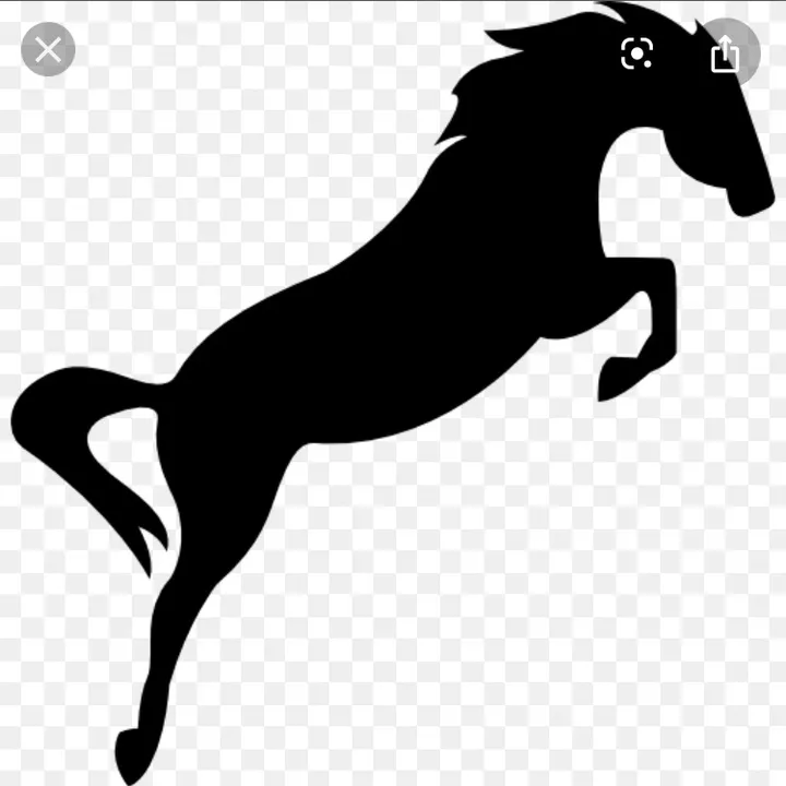 jumpinglikeahorse123