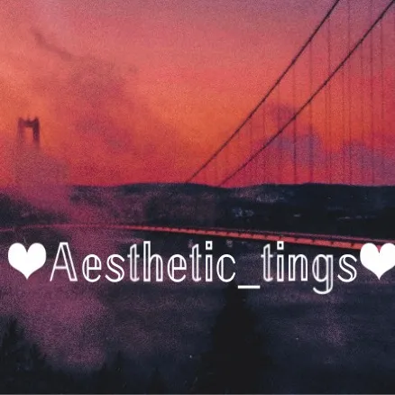 _aesthetic_tings_2