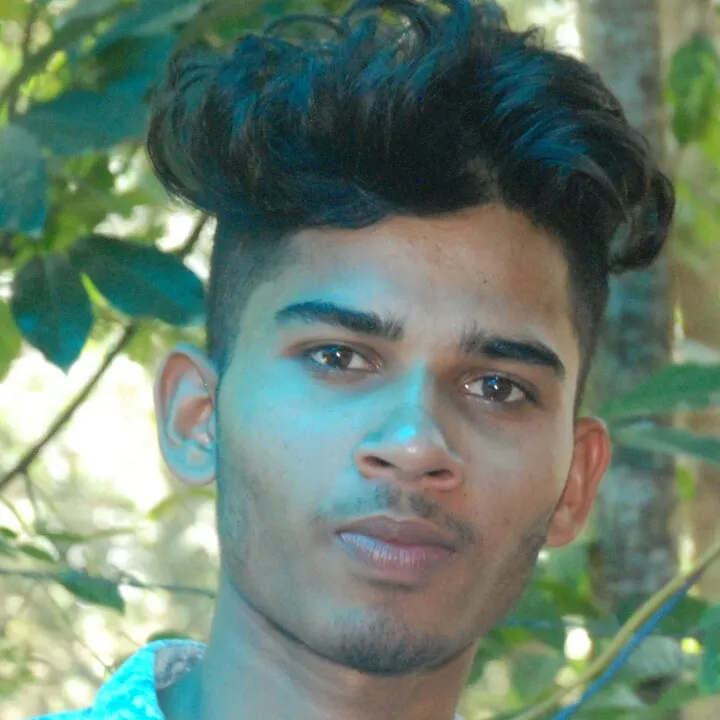 shibinporur