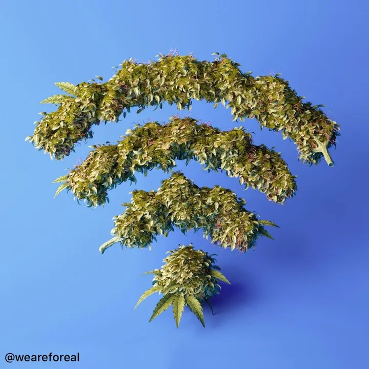@enimel13