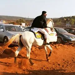 fahadzain4