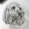 gabby_drawss