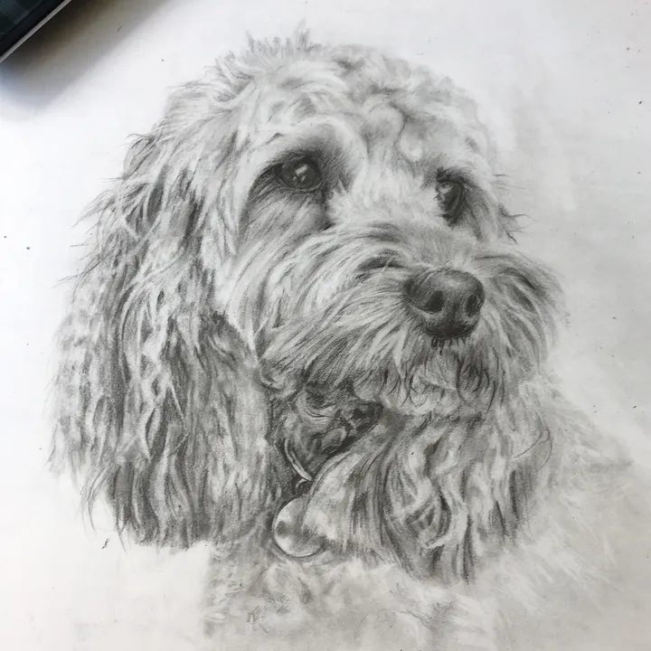 @gabby_drawss