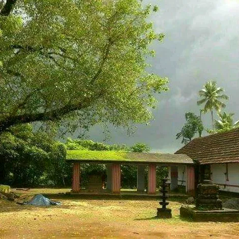 @palakkadann