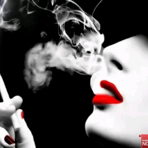 @bhatzahid04