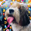 @brazilian...dog