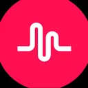 @musically.dancesxoo