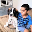 @ajju_gurjar8800