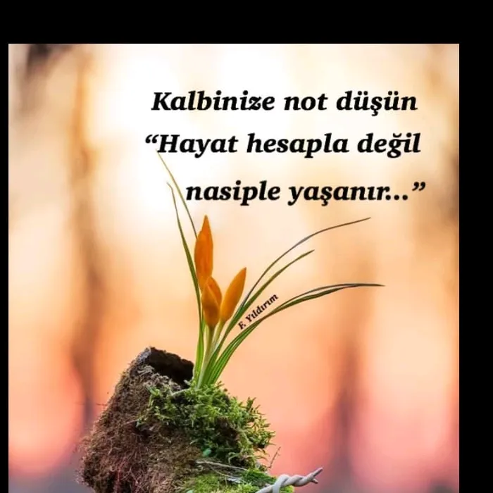 @hikaye04