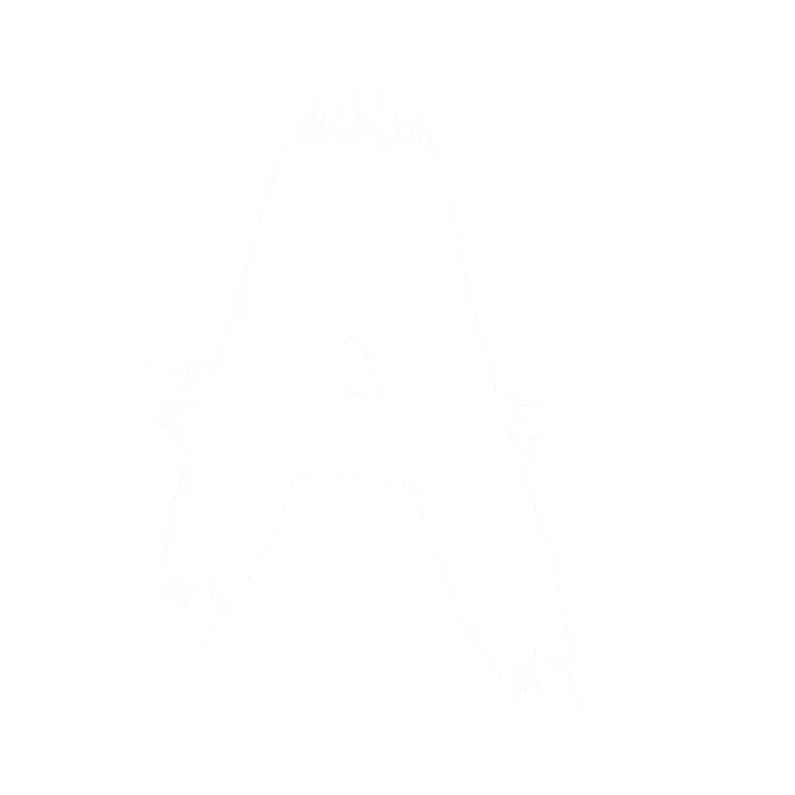 @ak_saini_devil
