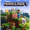 minecraft.haxs