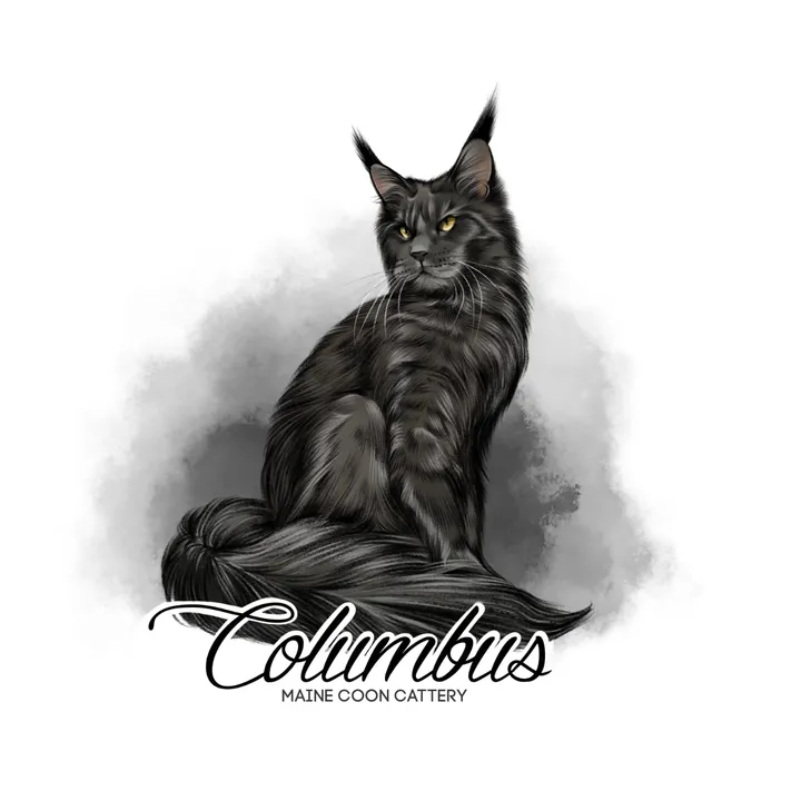 columbus_mainecoon