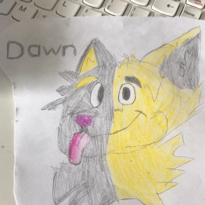 @dawn.is.a.beano