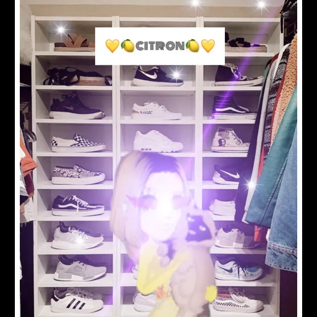 msp_citron