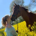 @ginger_013