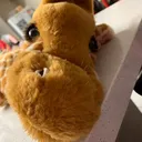 @girraffe7
